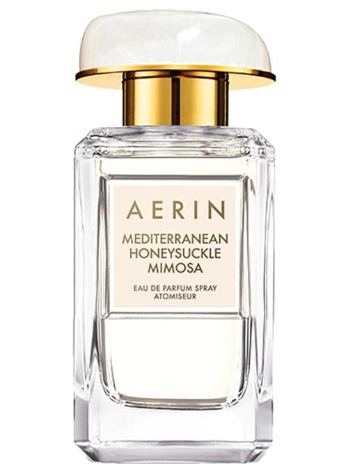 Mediterranean Honeysuckle Mimosa