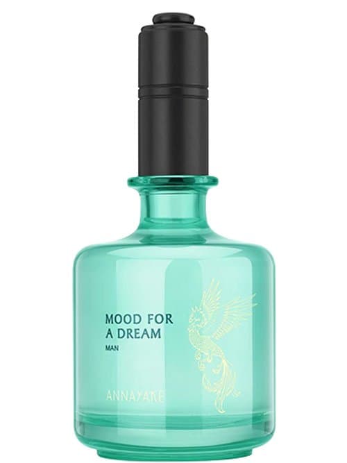 Mood For A Dream Man