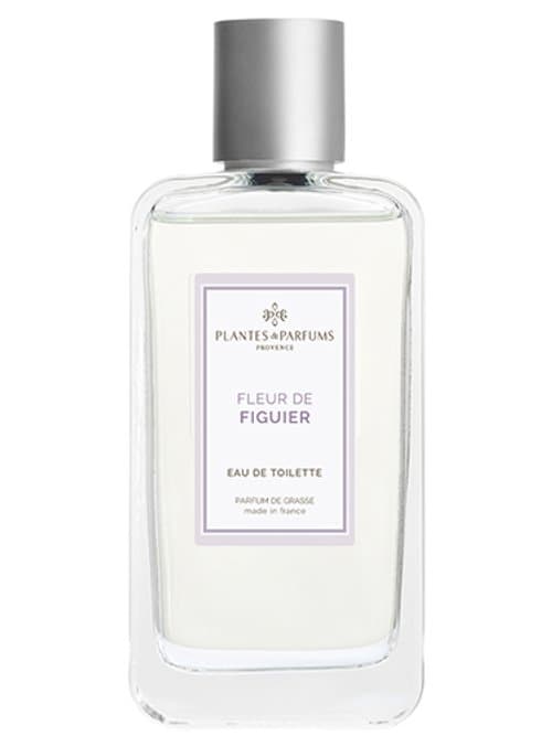 Fleur De Figuier Plantes & Parfums