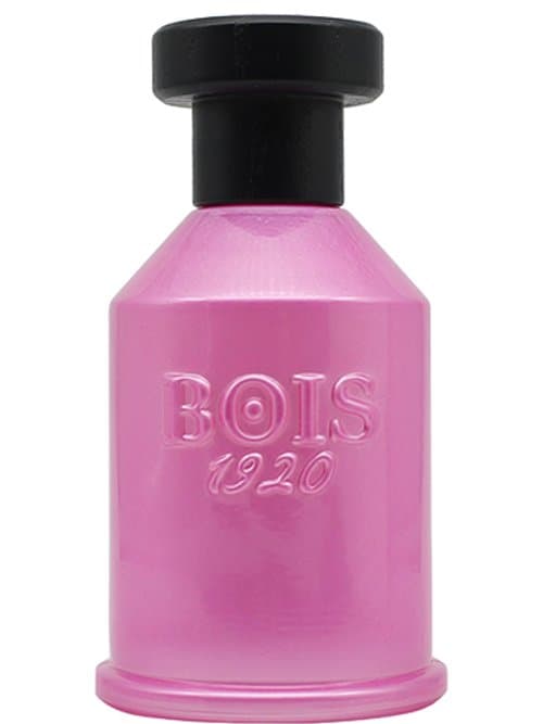 Rosa Di Filare (Kimono Rose)