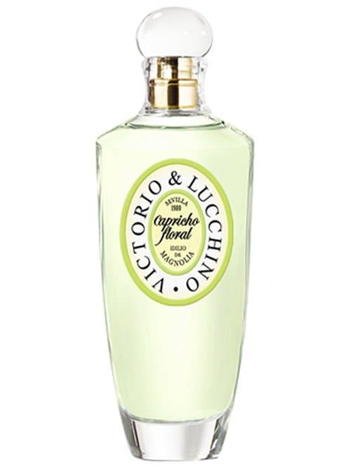 Capricho Floral : Idilio De Magnolia