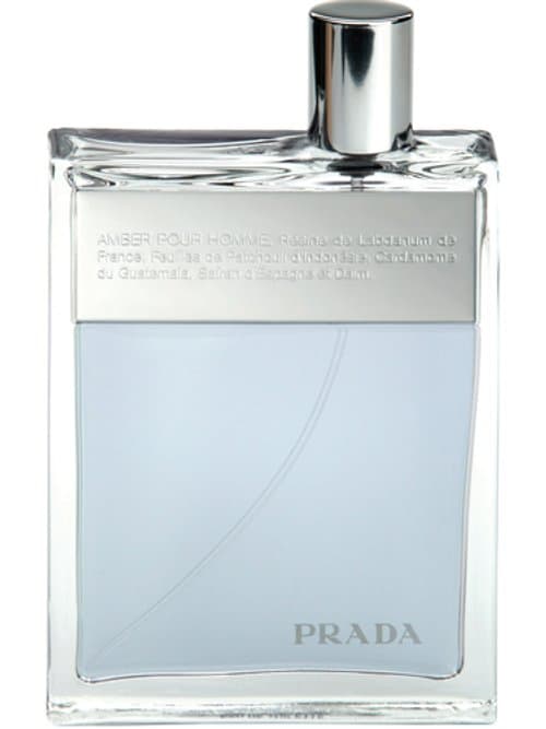 Amber Pour Homme