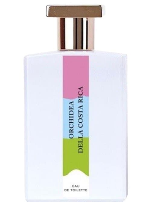 Orchidea Della Costarica