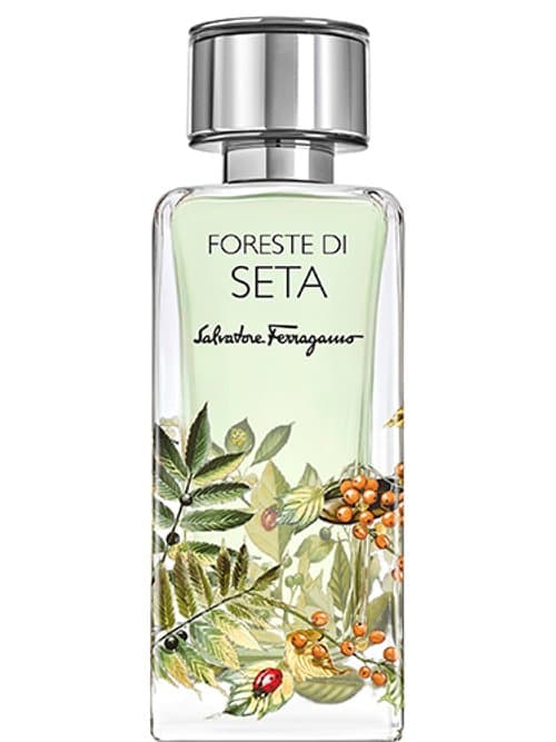 Foreste Di Seta