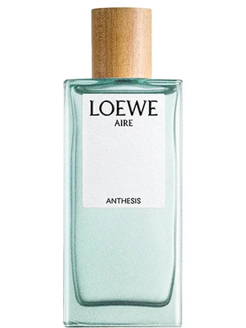 Loewe Aire Anthesis