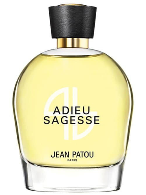 Adieu Sagesse (2014)