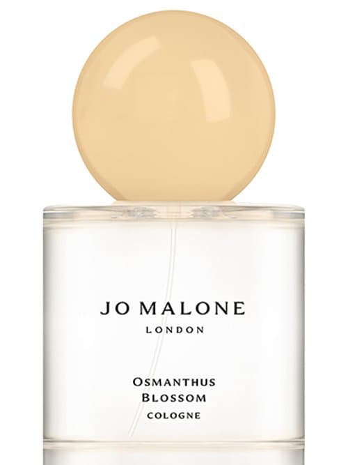 Osmanthus Blossom 2023