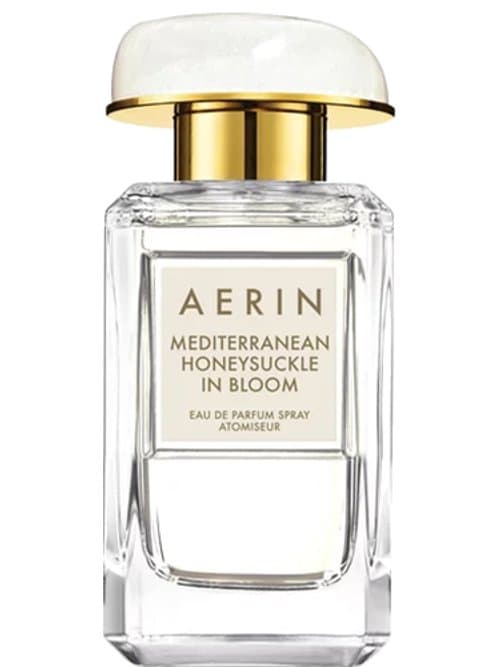 Mediterranean Honeysuckle In Bloom