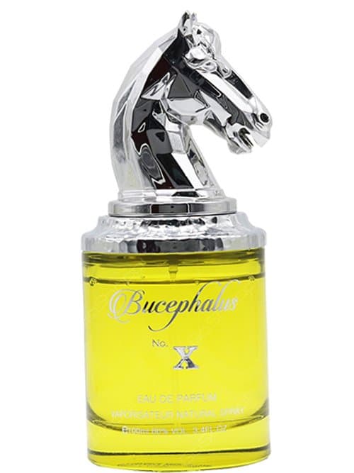 Bucephalus No. X