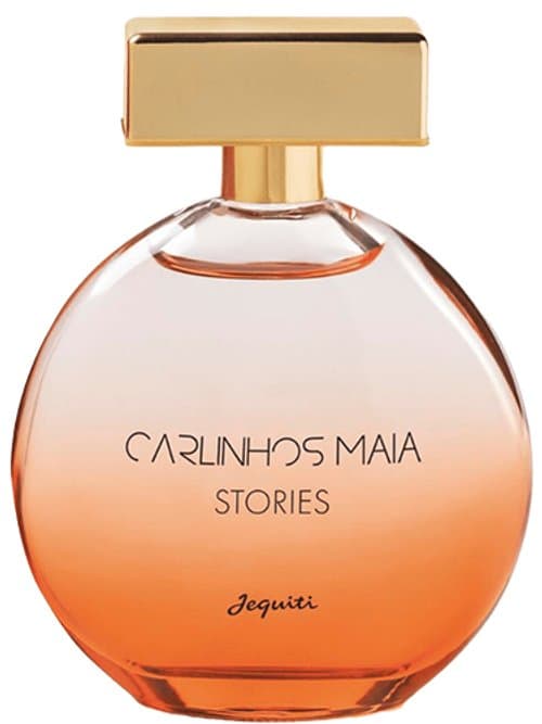 Carlinhos Maia Stories Feminino