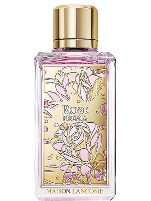Rose Peonia