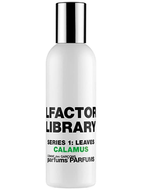 Series 1 Leaves : Calamus