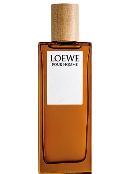 Loewe Pour Homme Eau De Toilette