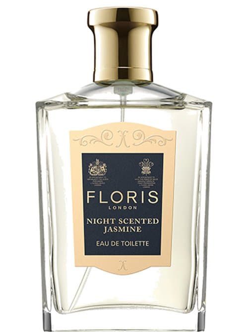 Night Scented Jasmine