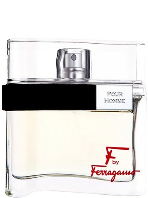 F By Ferragamo Pour Homme