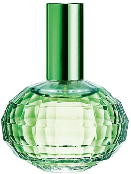 Memories Chasing Butterflies