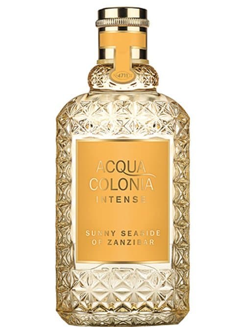 Sunny Seaside Of Zanzibar Intense