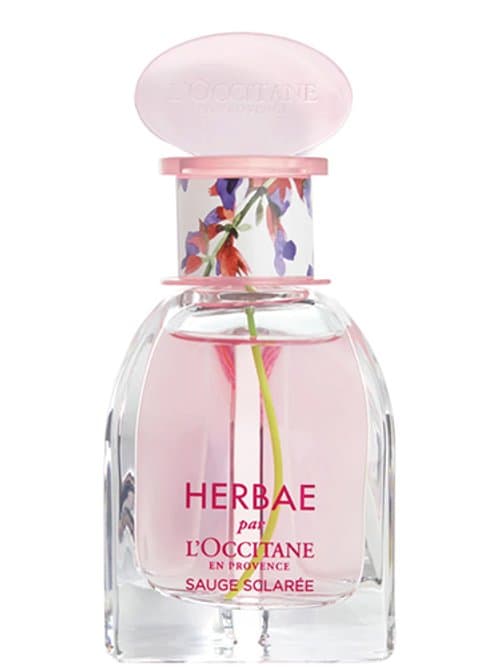 Herbae Sauge Sclarée 2022