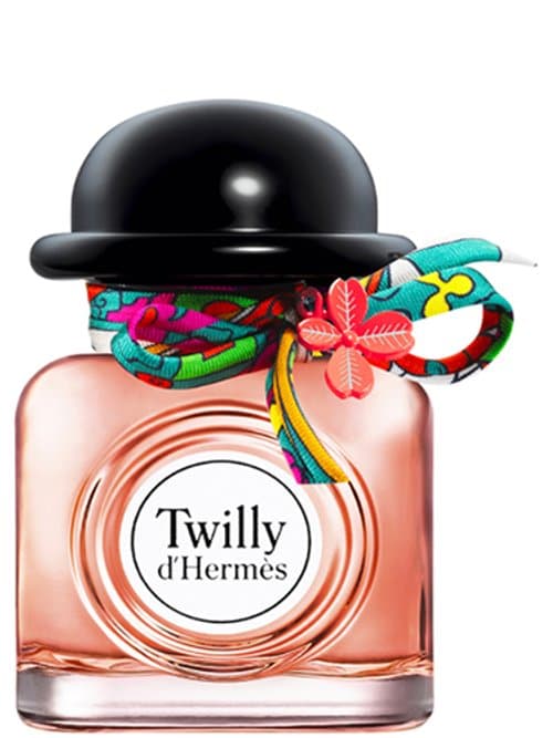 Charming Twilly D'Hermès 2020