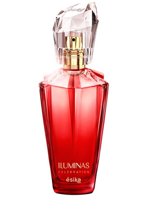 Iluminas Celebration