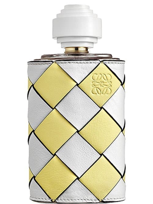 Paseando Por La Calle Mayor