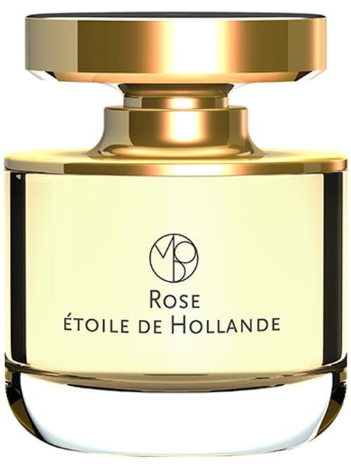 Rose Étoile De Hollande