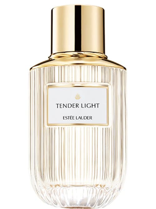 Tender Light