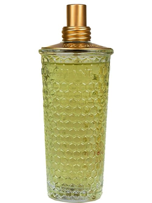 Miel & Citron / Honey & Lemon