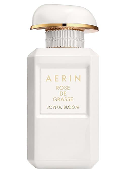 Rose De Grasse Joyful Bloom