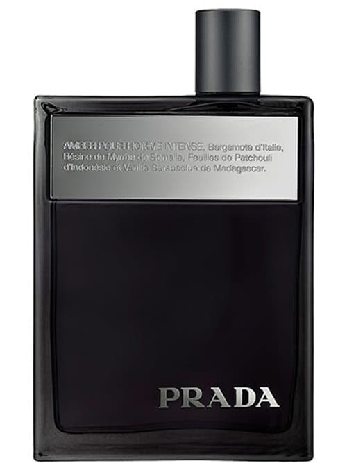 Amber Pour Homme Intense