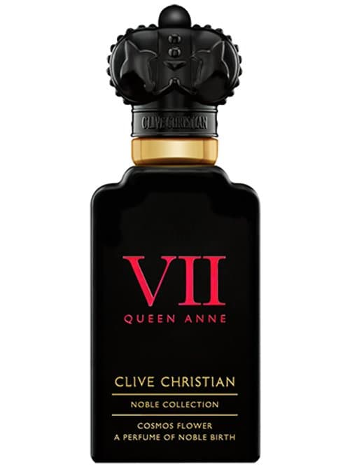 Noble Vii Queen Anne Cosmos Flower