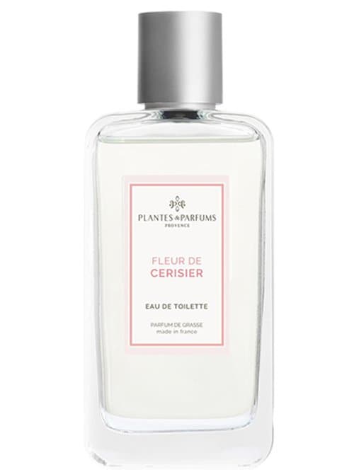 Fleur De Cerisier Plantes & Parfums