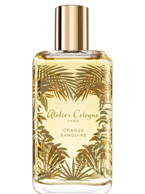 Orange Sanguine 2023