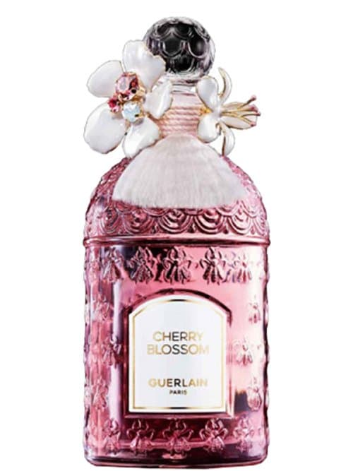 Cherry Blossom Millésime 2024