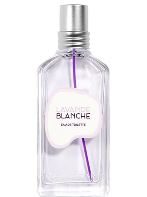 Lavande Blanche