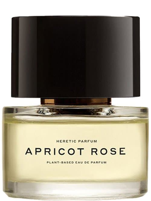 Apricot Rose