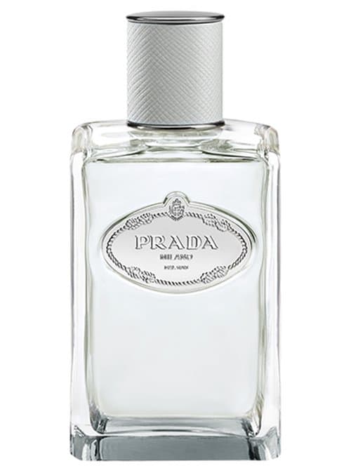 Infusion D'Iris Cèdre